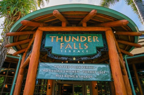 Thunder-Falls-Terrace-2021-2