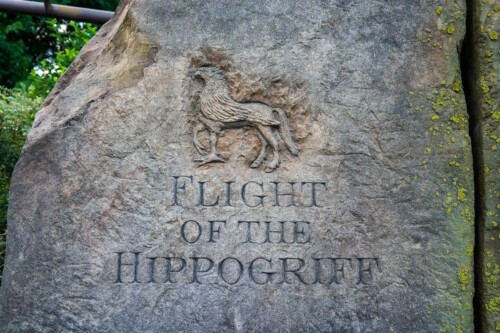 Flight-of-the-Hippogriff-2021-5