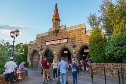 Hogwarts-Express-Hogsmeade-Station-2021-5