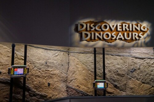 Jurassic-Park-Discovery-Center-2021-9